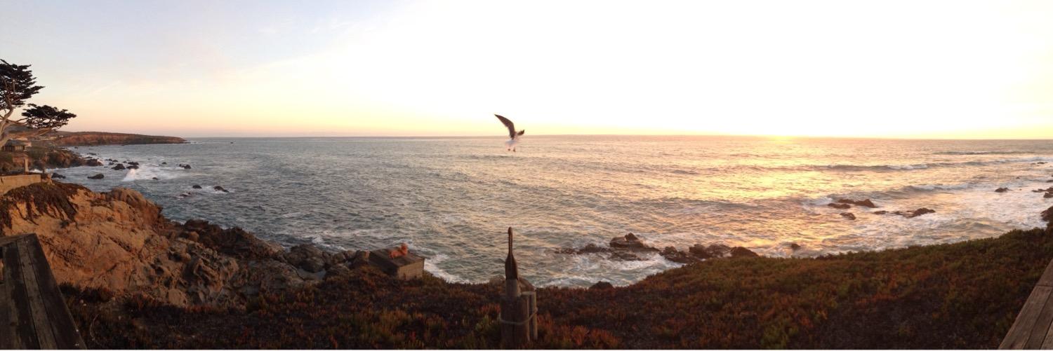 reneeargain's profile banner image