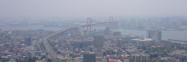 mayotaru12 Profile Banner