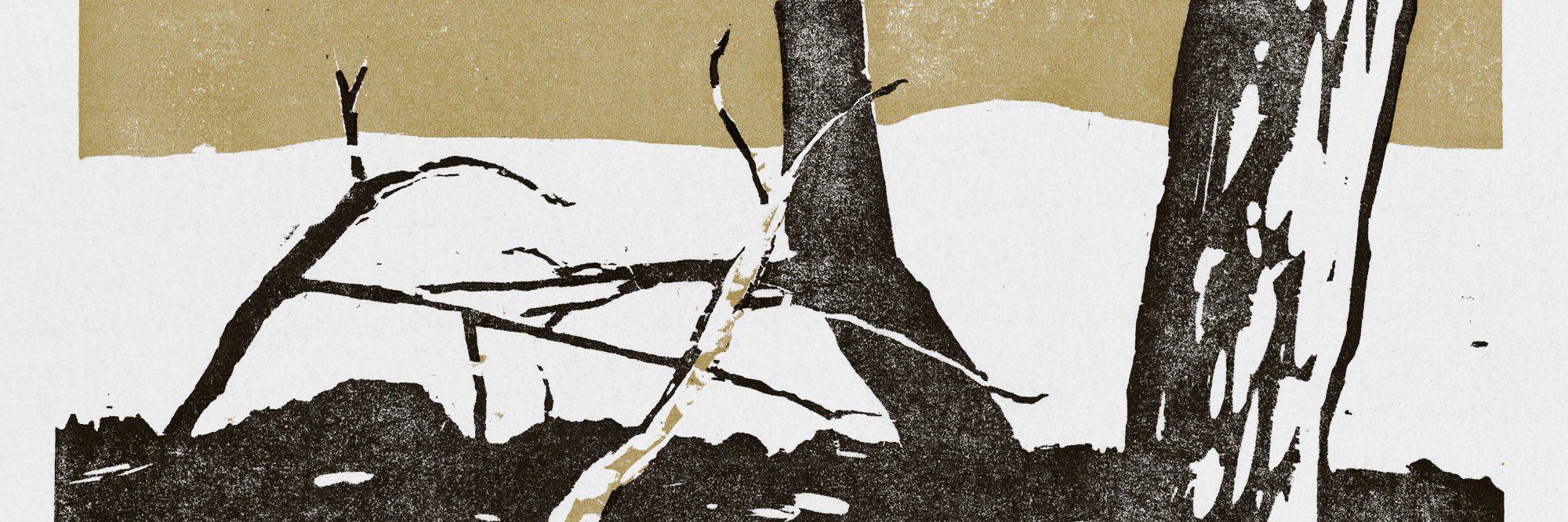 astdyn's profile banner image