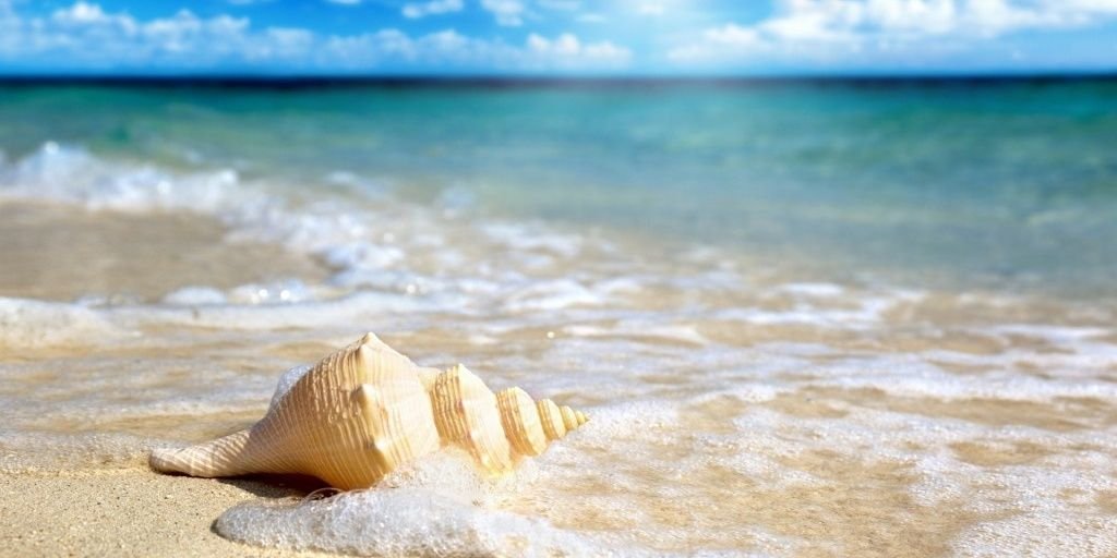adehartichaps's profile banner image