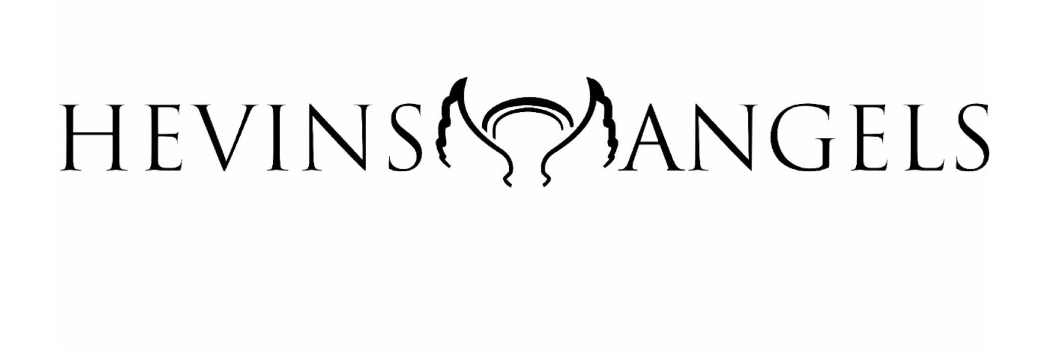 HevinsAngels's profile banner image