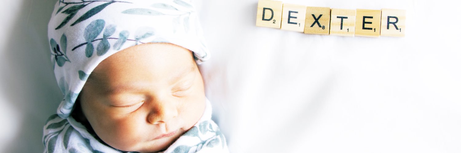 Ws_Dex's profile banner image