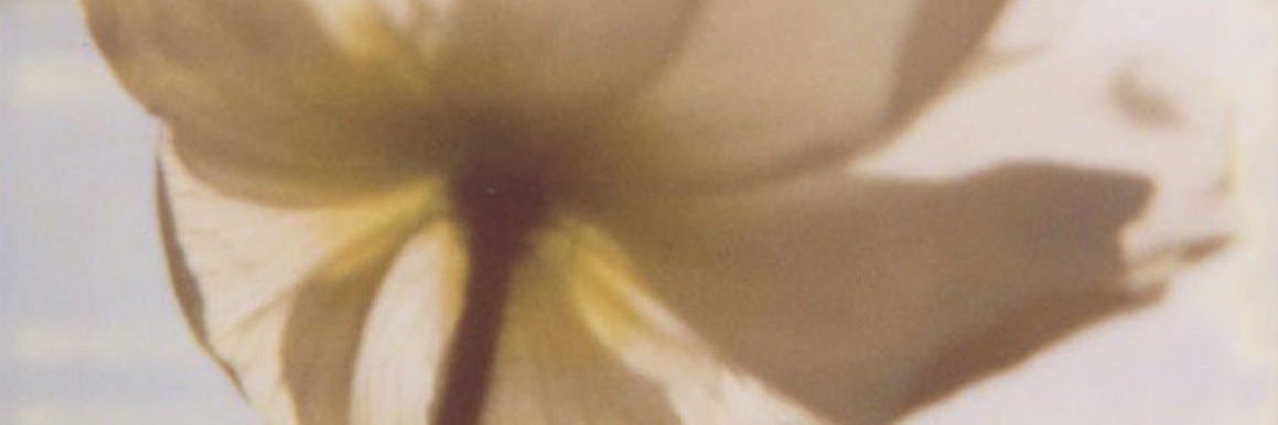 dearlysins's profile banner image