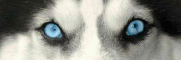 espi_92's profile banner image
