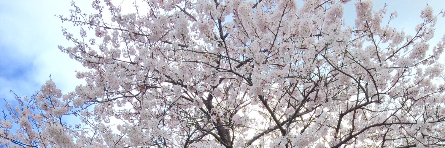 machakyu's profile banner image