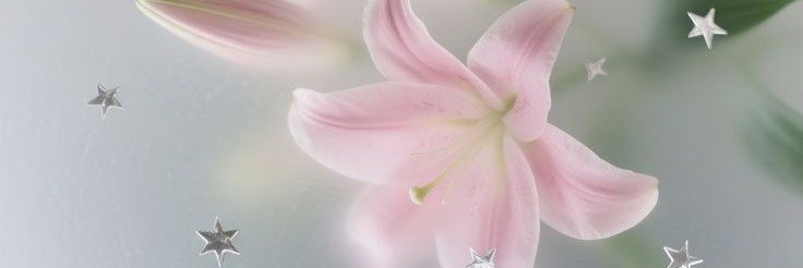tuidesakl's profile banner image