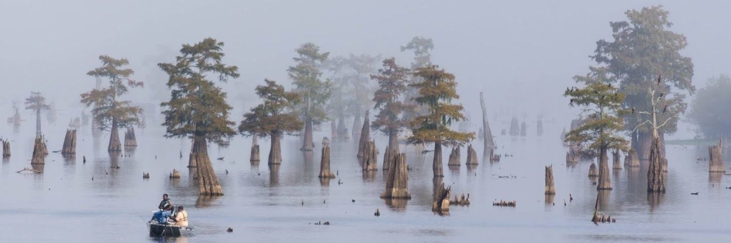 Saïd El Boustany banner