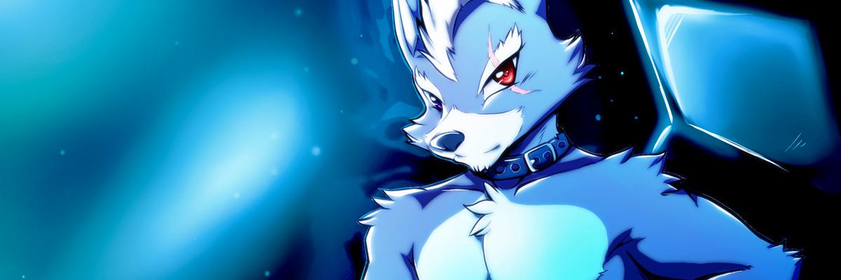Wolf O'Donnell banner