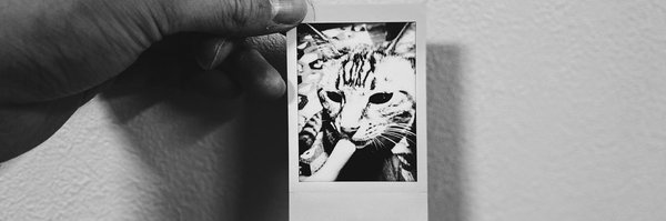 illllilllli_1 Profile Banner