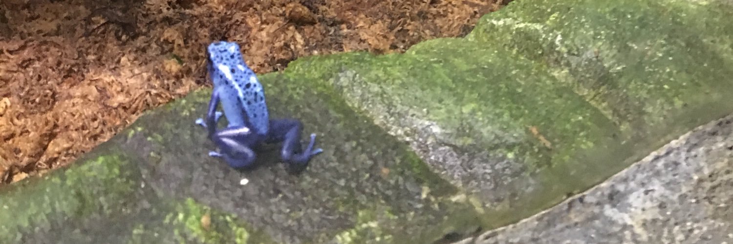 PjrUw's profile banner image