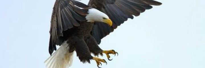 a14280013's profile banner image