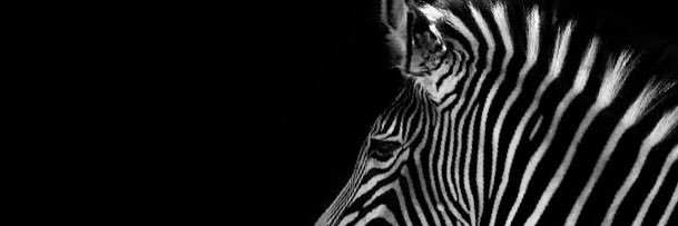 _zairazee's profile banner image