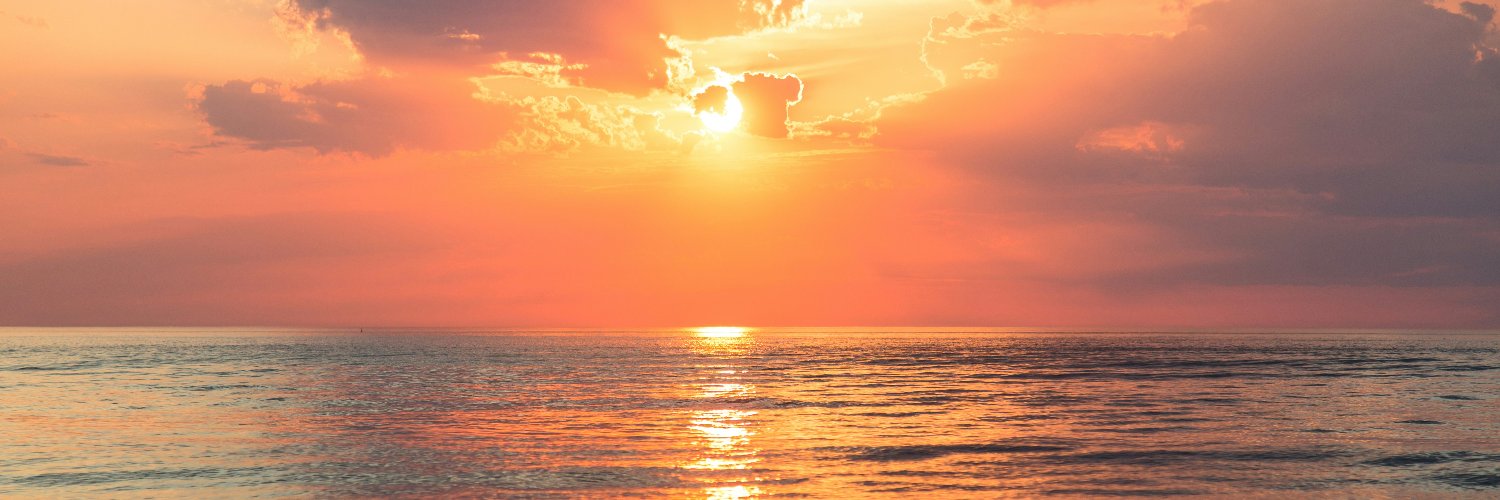 Leslie Sodaro banner