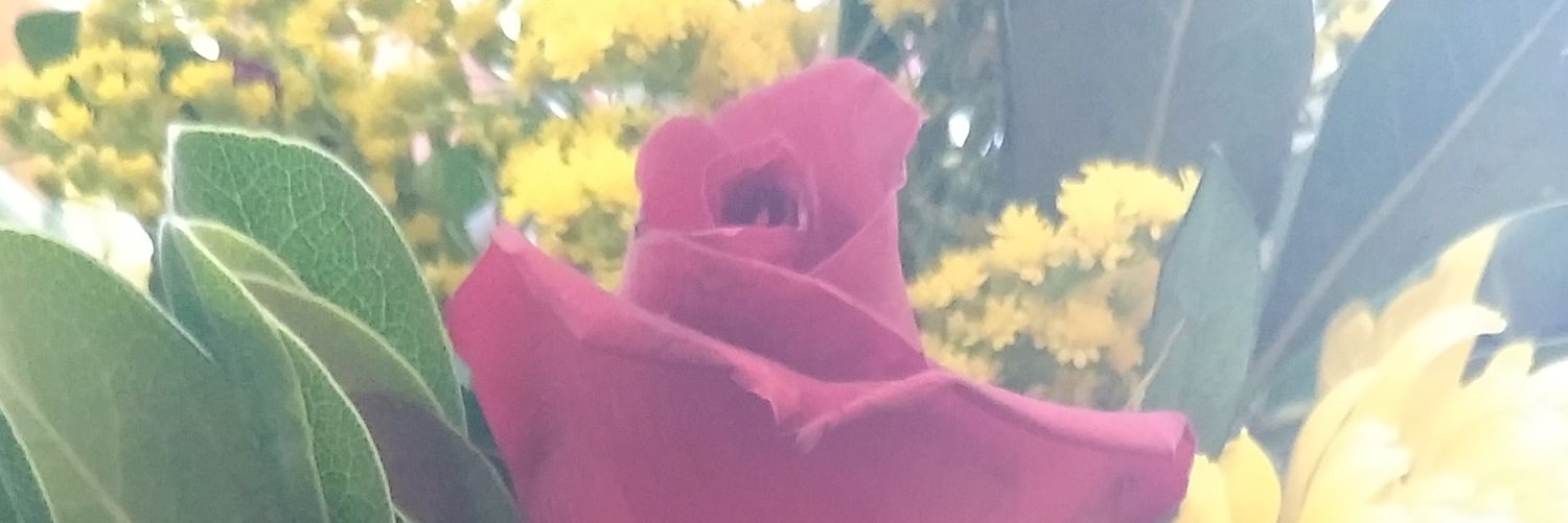 Juarez_raqu's profile banner image