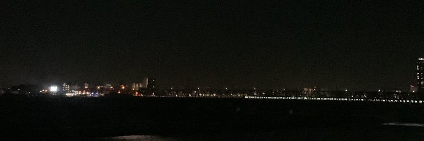 島口大樹 banner