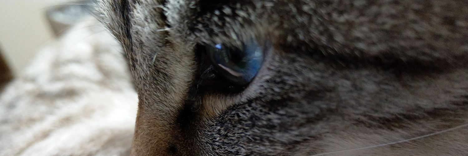 HchTaku's profile banner image