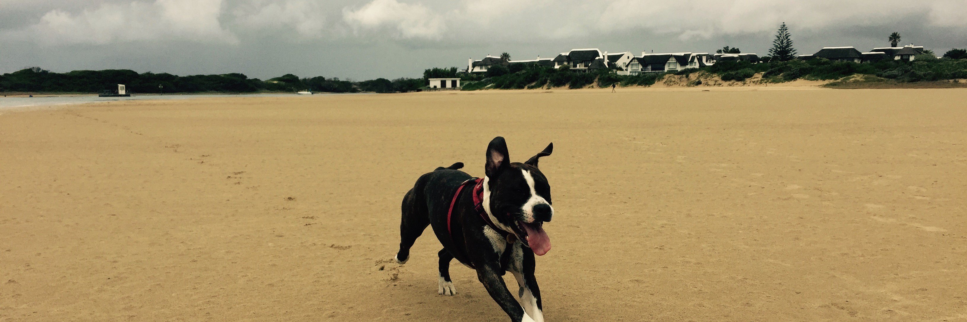 Karin Hopkinson banner