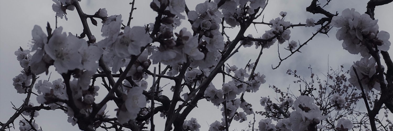 sun_todo's profile banner image