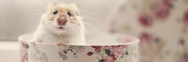 Рождественская banner