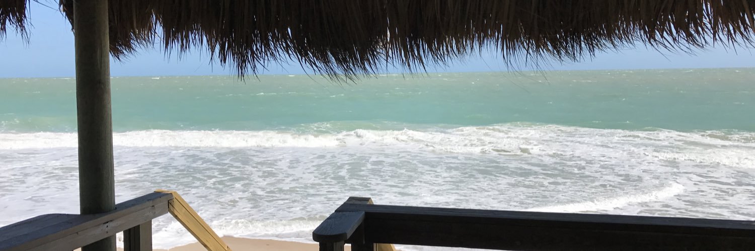 ShawnaShapero's profile banner image