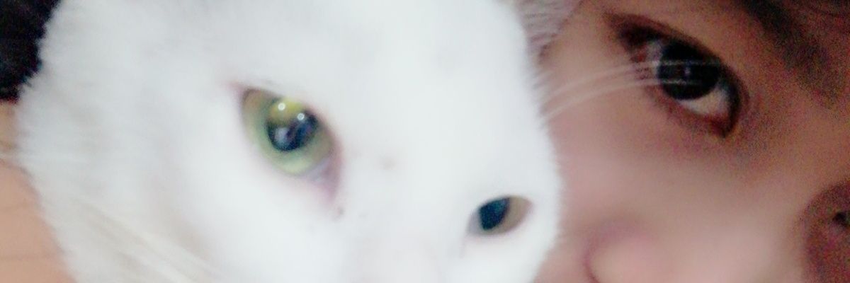 loowkeyfan's profile banner image