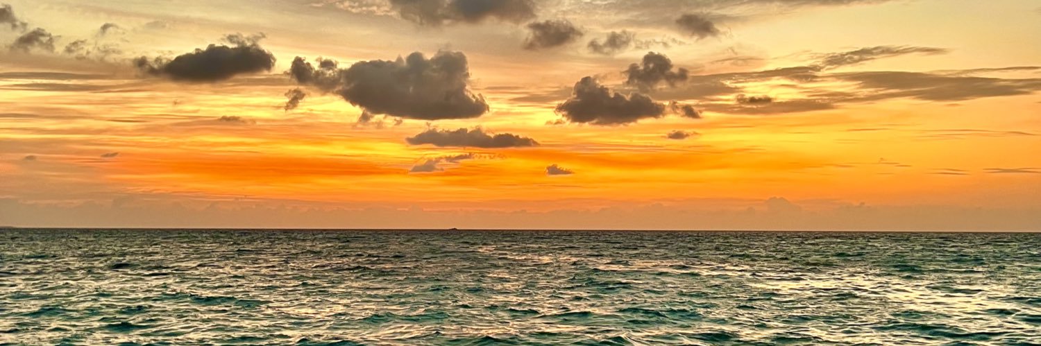 nfqalthani's profile banner image