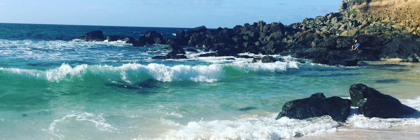 Paul Rowan  banner