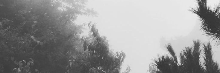 SADAJIWA. banner