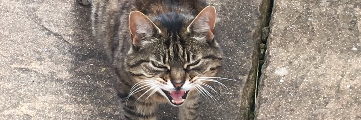 EffwonLurker's profile banner image