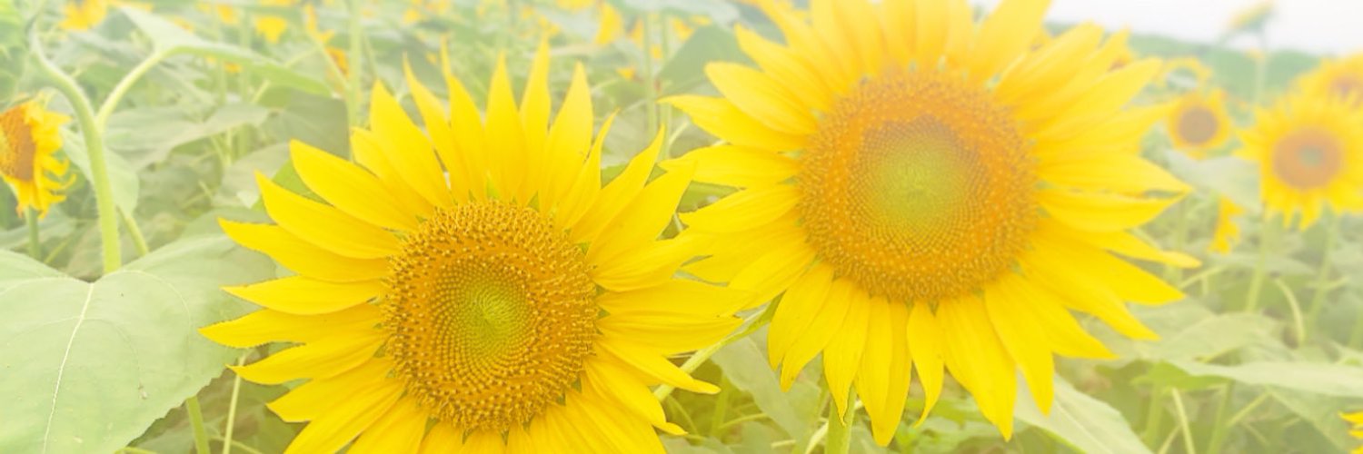 aika.t heip07 のツイプロ