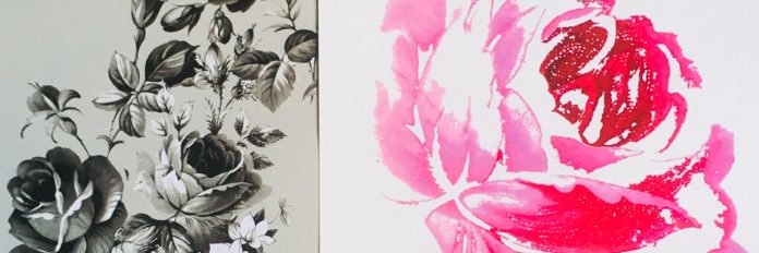 Sarah Harris banner