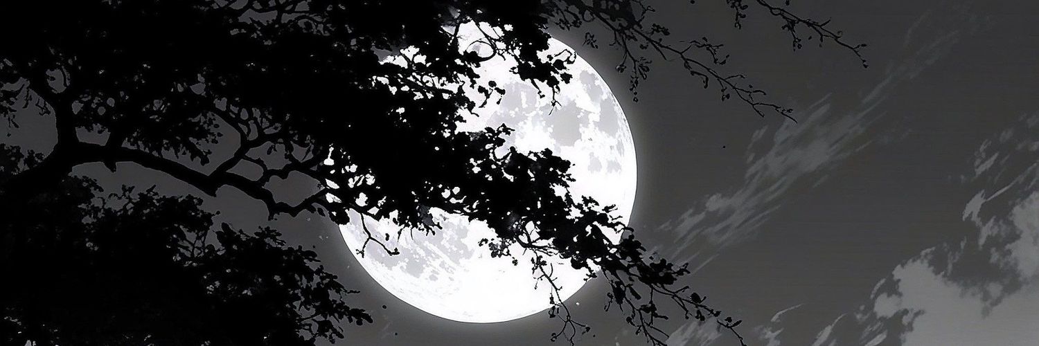 FuckMaxx's profile banner image