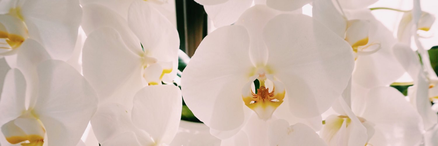 💛 banner