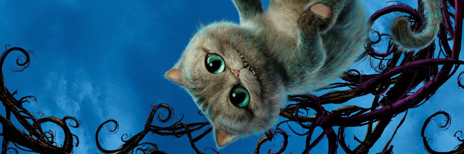 rosh_evan's profile banner image
