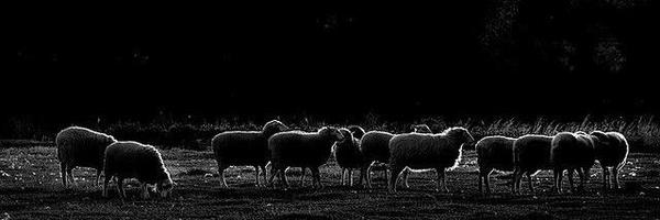 Gorgeous_Mah Profile Banner