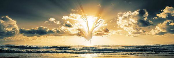 tolubbbb Profile Banner