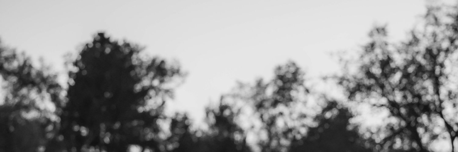 caitybreann's profile banner image