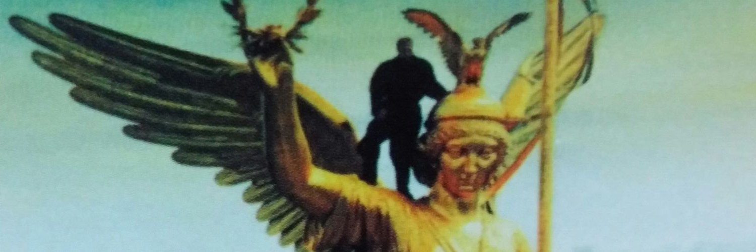 CameTomo's profile banner image
