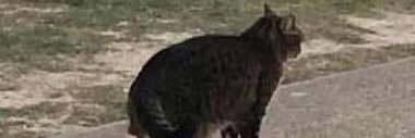 bryanblast25's profile banner image