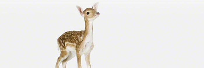 PPPu3l's profile banner image