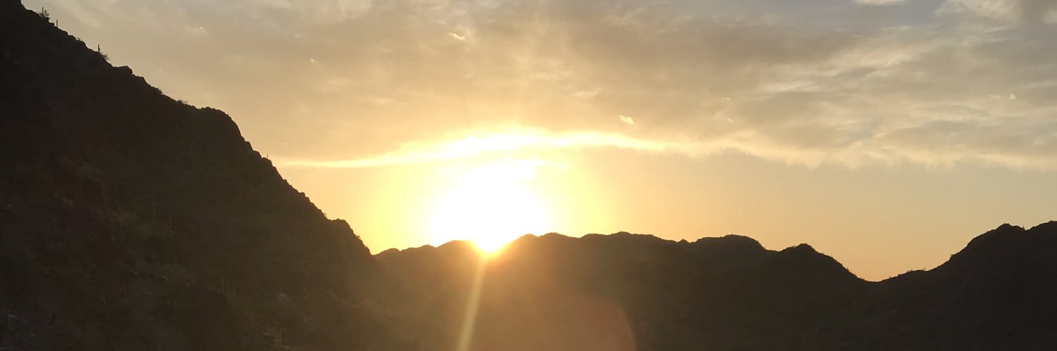 gaflemming's profile banner image