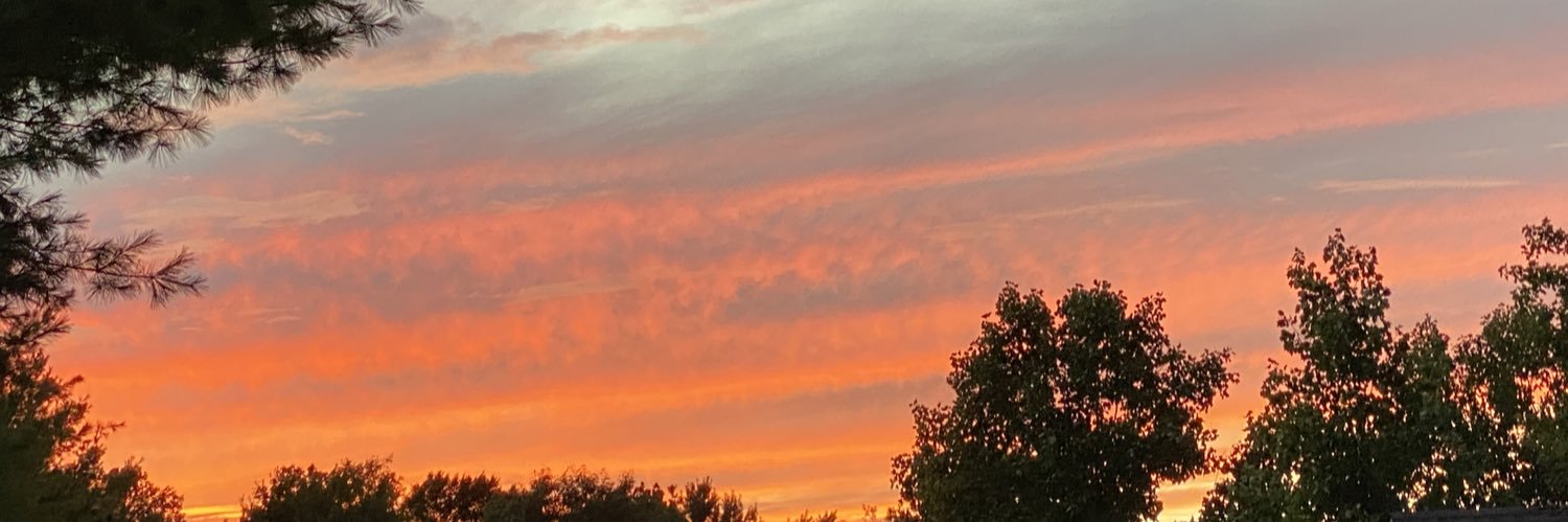 Susan Prather banner