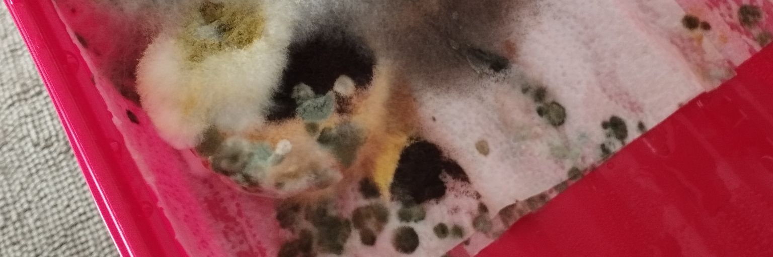 benbun_'s profile banner image