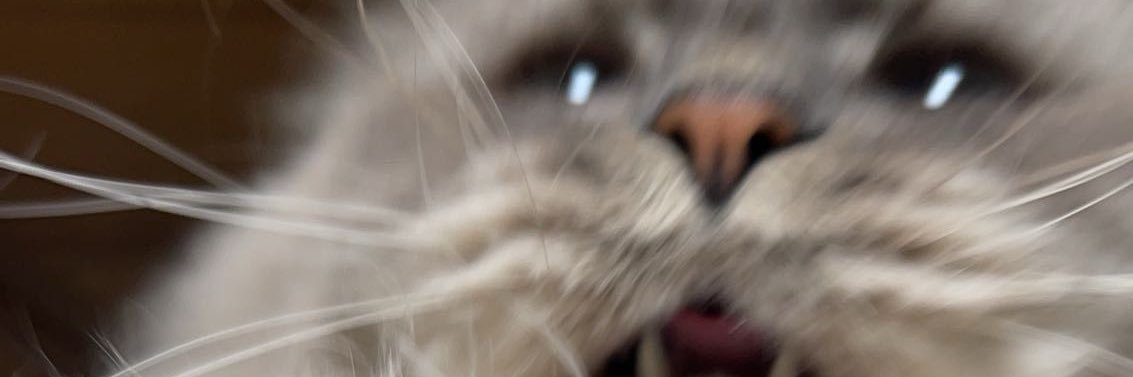 rmlzeb's profile banner image