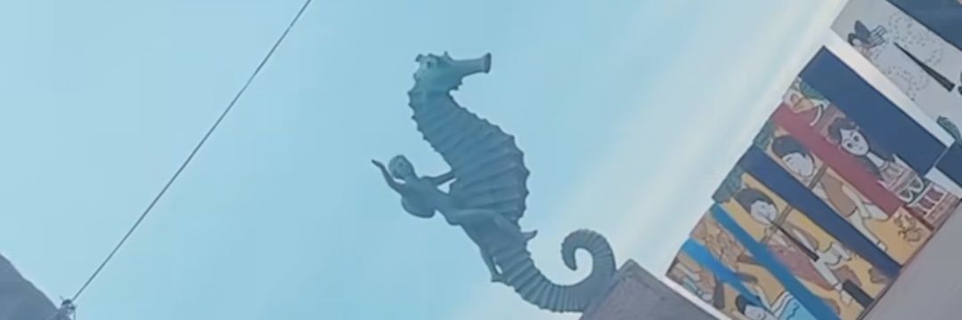 foxrobl's profile banner image