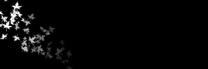 Chane0119's profile banner image