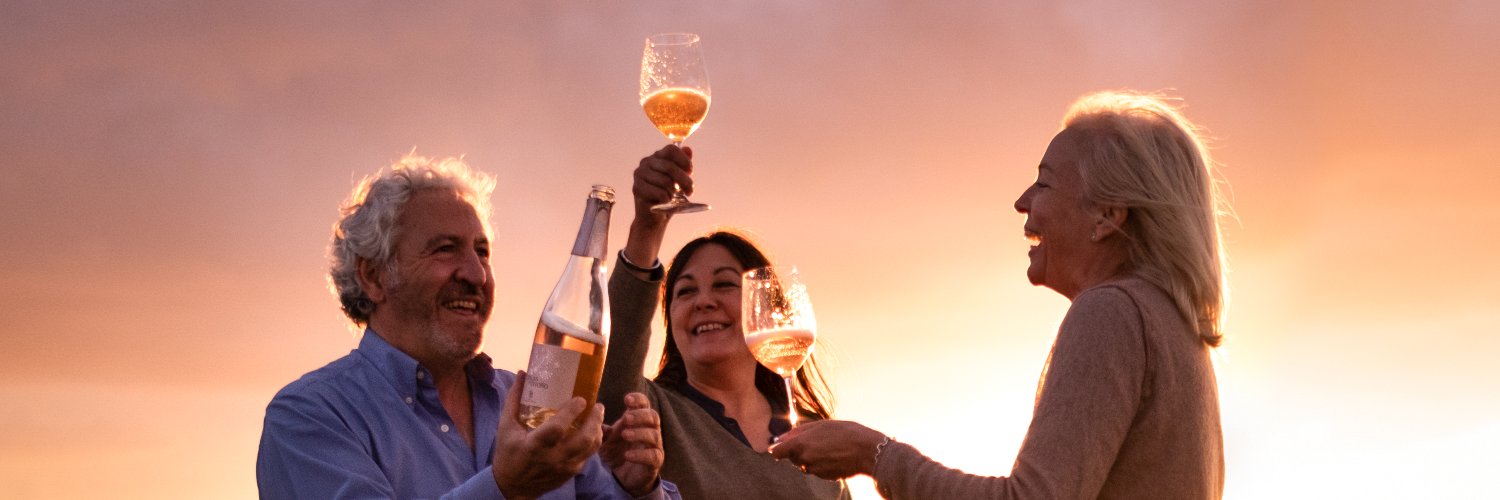 bodegasmasquevinos banner