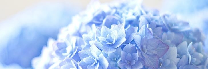 Zully_Cuellar's profile banner image