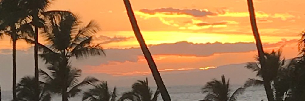 Jo Stewart-Rattray banner