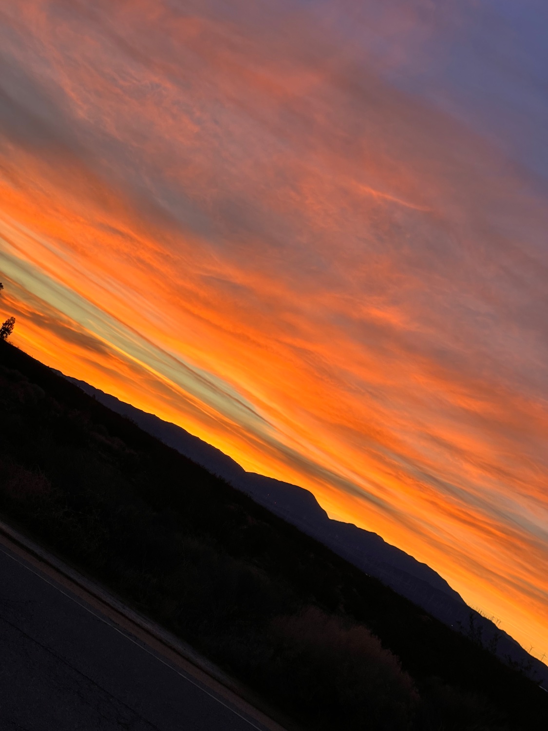 Wizely 🫥🌙 banner